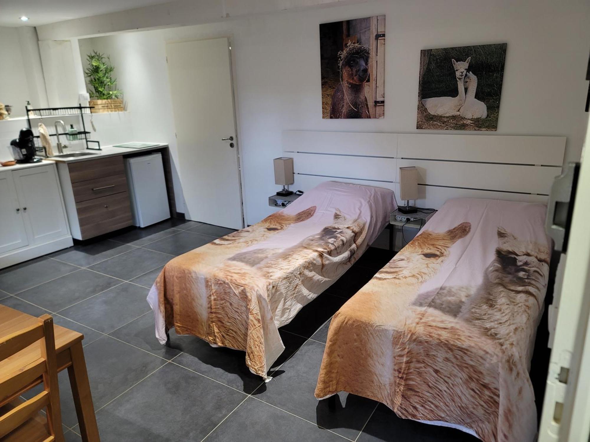 Bed and Breakfast Alpagas Du Domaine Mael Saint-Antoine  Exterior foto